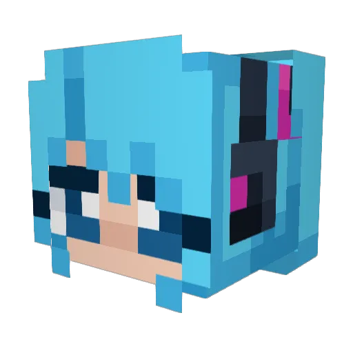 Nocturnal20 Minecraft avatar head, 3D render