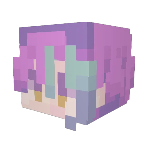 NocturnalRainbow Minecraft avatar head, 3D render