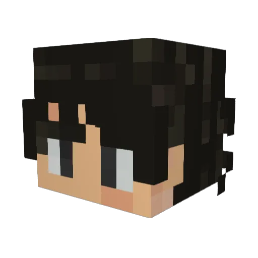 Nocturnal_Covus Minecraft avatar head, 3D render