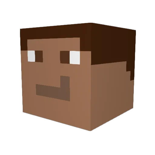 Nocturne9887 Minecraft avatar head, 3D render