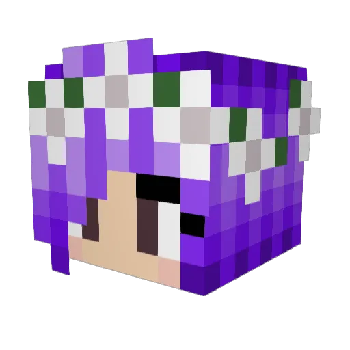 NocturnlCreature Minecraft avatar head, 3D render