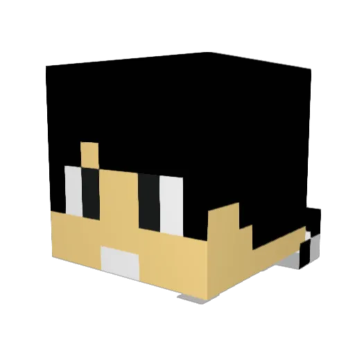 Noctusgaratus Minecraft avatar head, 3D render