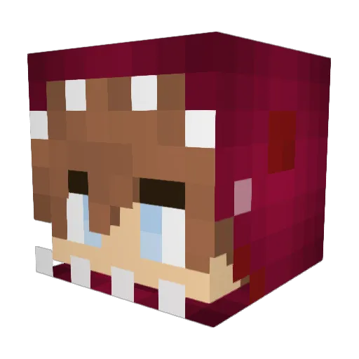 NodThePenguin Minecraft avatar head, 3D render