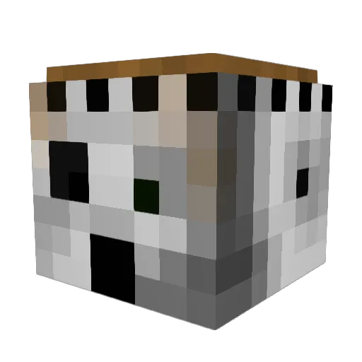 Nodag Minecraft avatar head, 3D render