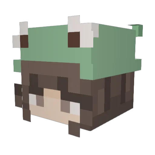 Noddy2609 Minecraft avatar head, 3D render
