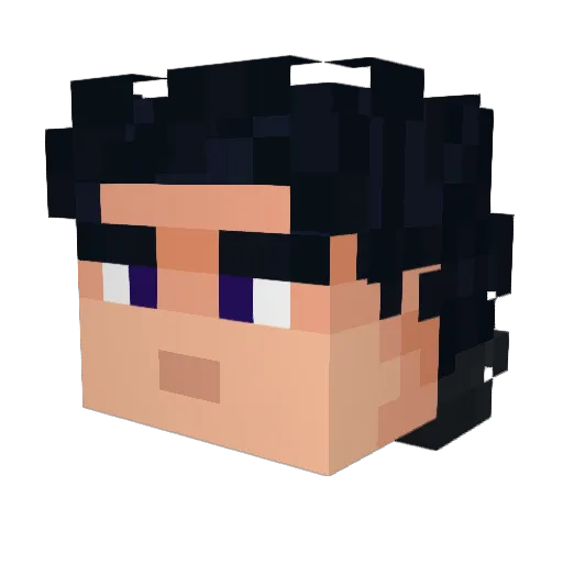 Node_Operator Minecraft avatar head, 3D render