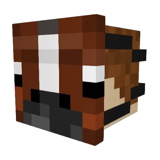 NoderNedarov Minecraft avatar head, 3D render
