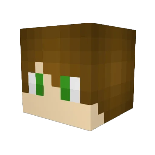 Nodex9 Minecraft avatar head, 3D render