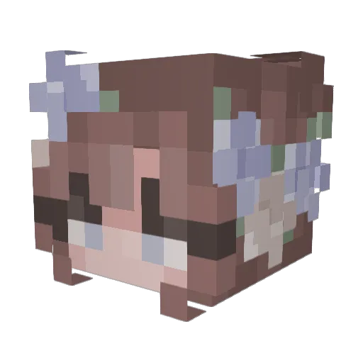 Nodl3_ Minecraft avatar head, 3D render