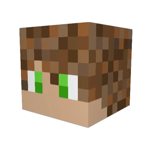 Nodslem5 Minecraft avatar head, 3D render