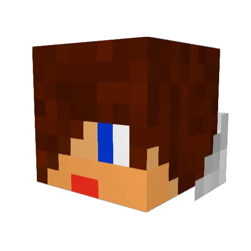 Nodwex Minecraft avatar head, 3D render
