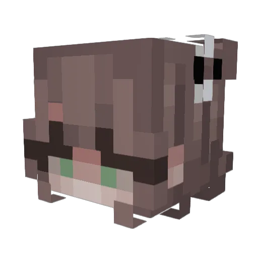 NoeRodriguez Minecraft avatar head, 3D render