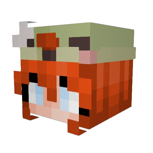 Noe_Problem Minecraft avatar head, 3D render