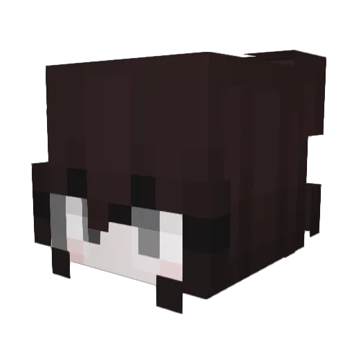 NoeeSw3atz Minecraft avatar head, 3D render