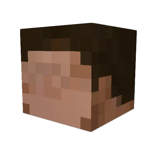 Noel0101 Minecraft avatar head, 3D render