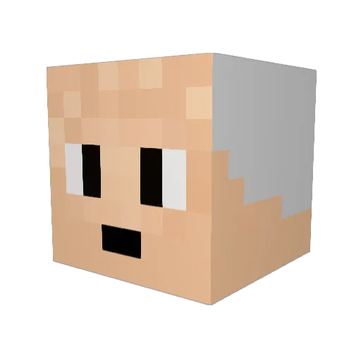 NoelFlantier667 Minecraft avatar head, 3D render