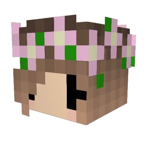 NoelJayden Minecraft avatar head, 3D render