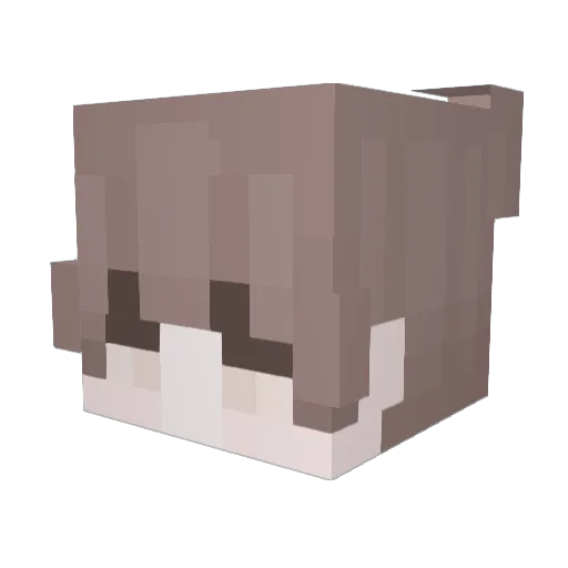 NoelRS Minecraft avatar head, 3D render