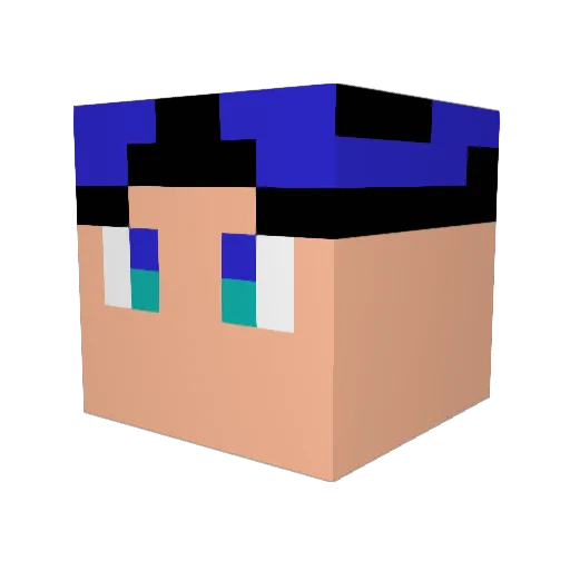 Noel_2012 Minecraft avatar head, 3D render