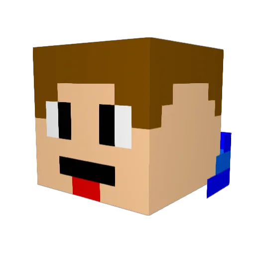 Noelbarkowski Minecraft avatar head, 3D render