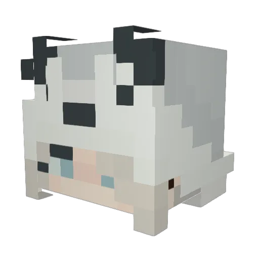 Noella123 Minecraft avatar head, 3D render