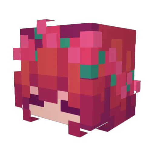 Noelle_Chan Minecraft avatar head, 3D render