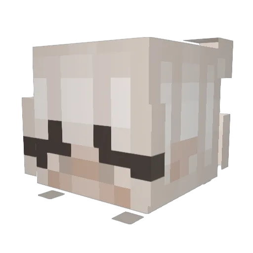 Noenkz Minecraft avatar head, 3D render