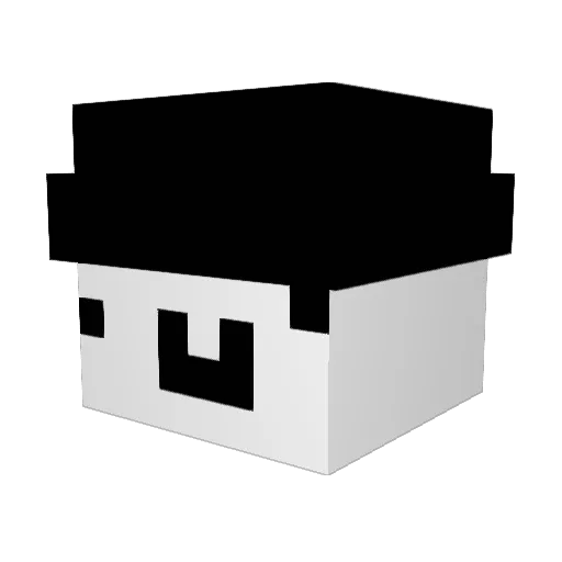 Noet_ Minecraft avatar head, 3D render