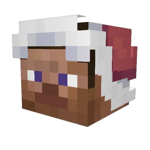 Noface0611 Minecraft avatar head, 3D render