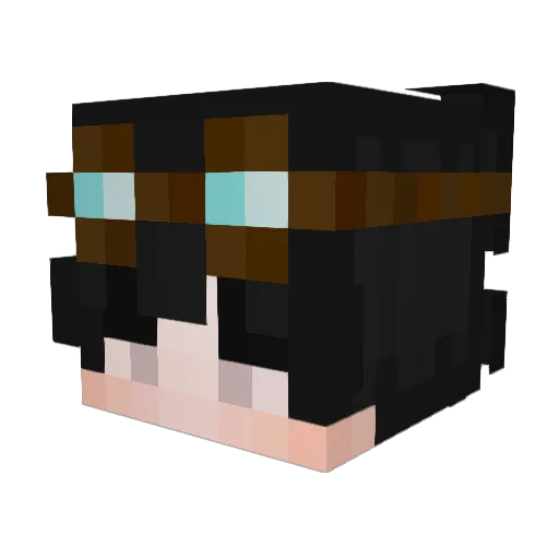 Nofax69 Minecraft avatar head, 3D render