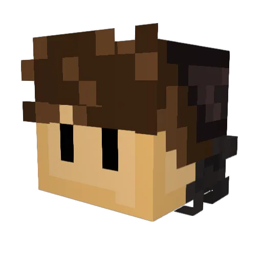 Noff8242 Minecraft avatar head, 3D render