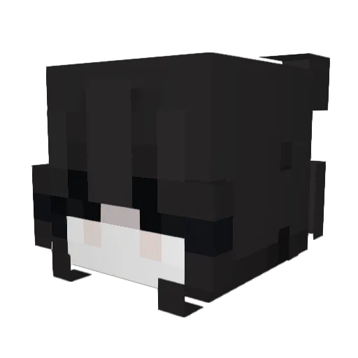 Nofkta Minecraft avatar head, 3D render