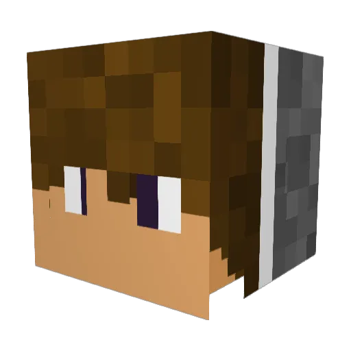 Nofl3x Minecraft avatar head, 3D render
