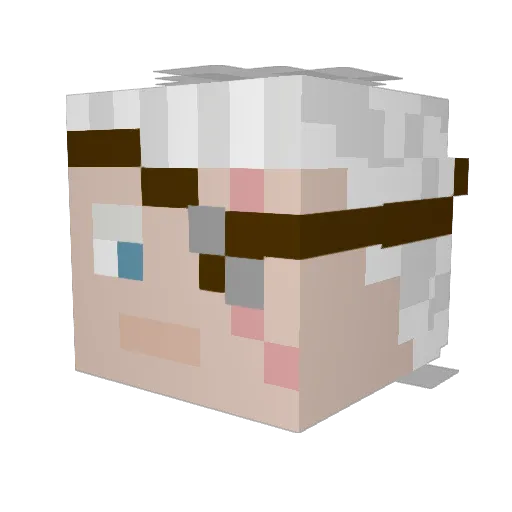 Noflashint Minecraft avatar head, 3D render