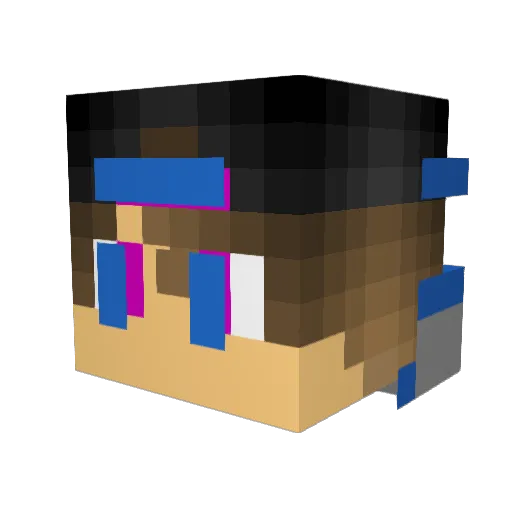 Nofollow21 Minecraft avatar head, 3D render