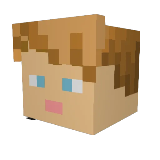 Nofriends214 Minecraft avatar head, 3D render