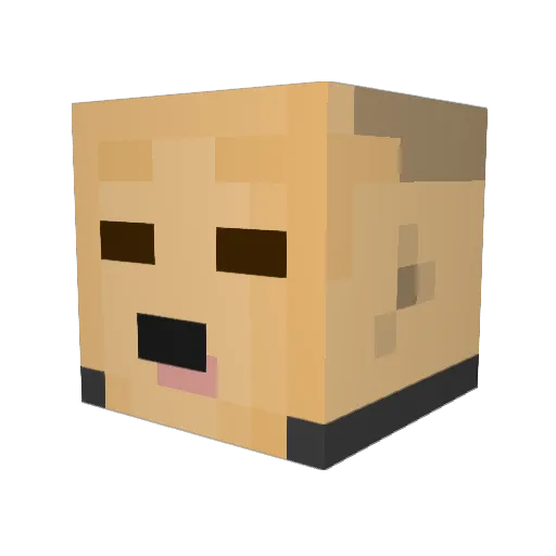 Nofuture10 Minecraft avatar head, 3D render