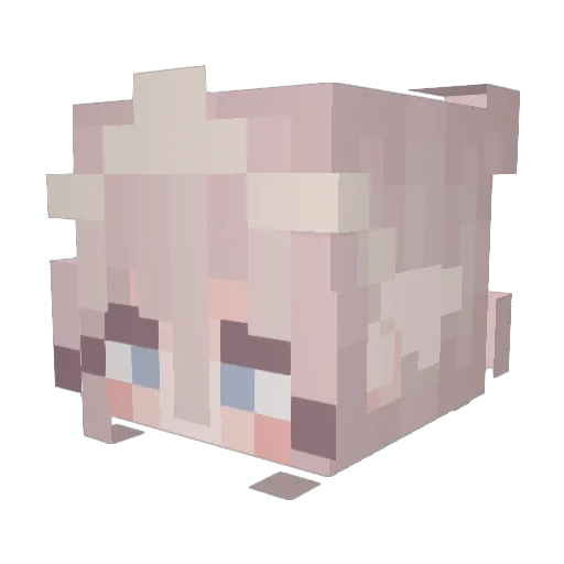 NogaHod Minecraft avatar head, 3D render