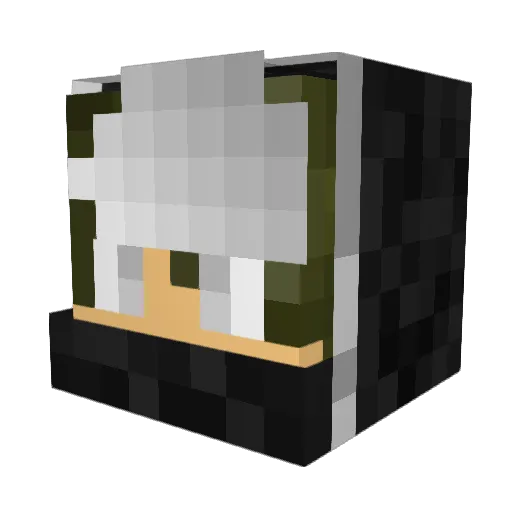 NogainRogain Minecraft avatar head, 3D render