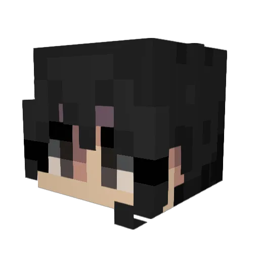 Nogas428 Minecraft avatar head, 3D render