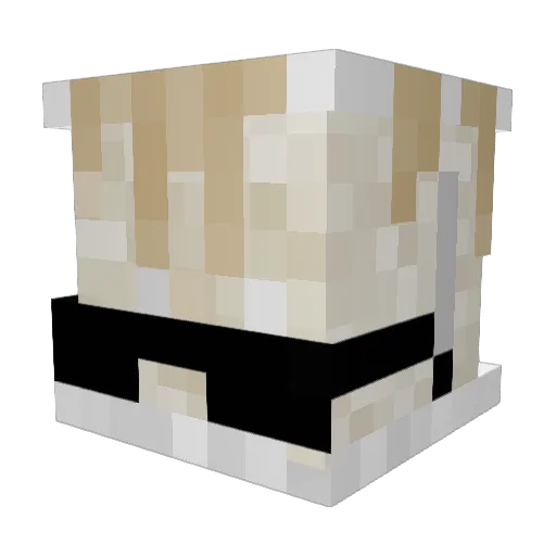Noggin4tor Minecraft avatar head, 3D render