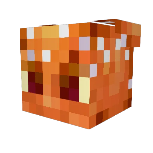 Noggindrill69 Minecraft avatar head, 3D render
