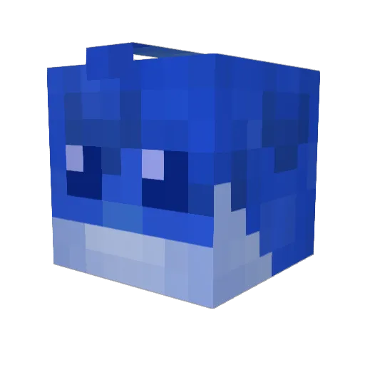 Nogi11 Minecraft avatar head, 3D render