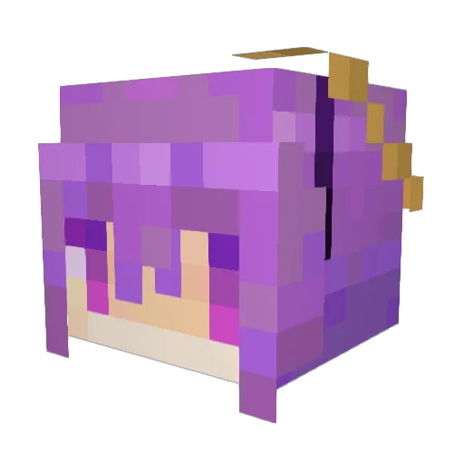 Nogudai Minecraft avatar head, 3D render