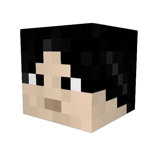 Nohbdy1 Minecraft avatar head, 3D render