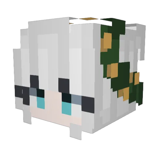 Noimpty_de Minecraft avatar head, 3D render