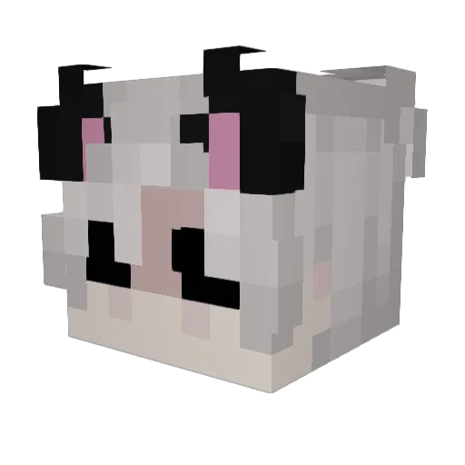 Noipri Minecraft avatar head, 3D render