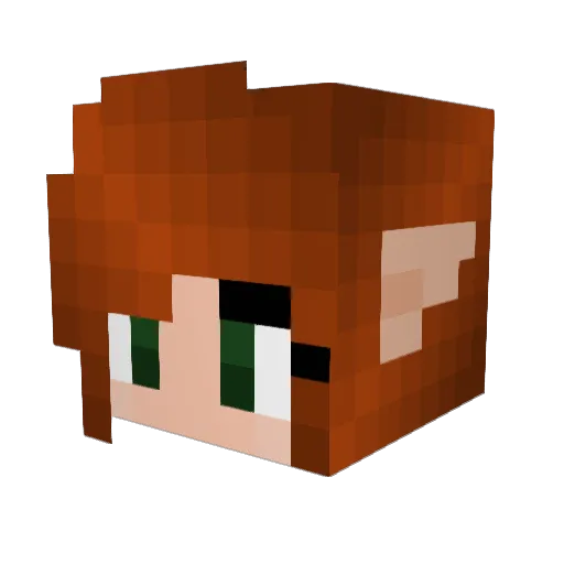 Noir696 Minecraft avatar head, 3D render
