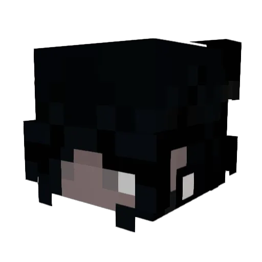 NoirHaze Minecraft avatar head, 3D render