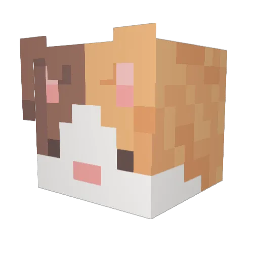 Noire28 Minecraft avatar head, 3D render